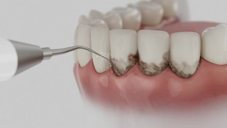 Reliable Dental contractor in Bemiss, GA by Dentist Open Now